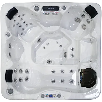 Avalon EC-849L hot tubs for sale in Jupiter