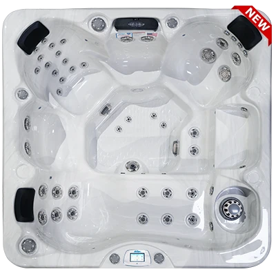 Avalon-X EC-849LX hot tubs for sale in Jupiter