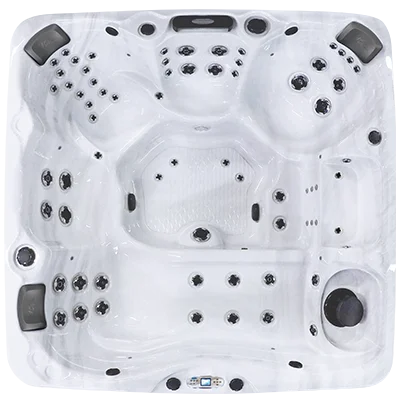Avalon EC-867L hot tubs for sale in Jupiter