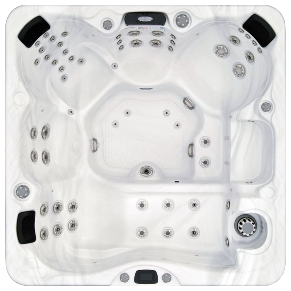 Avalon-X EC-867LX hot tubs for sale in Jupiter